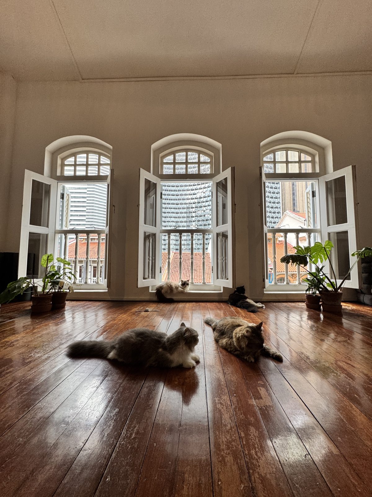 Yoga practice